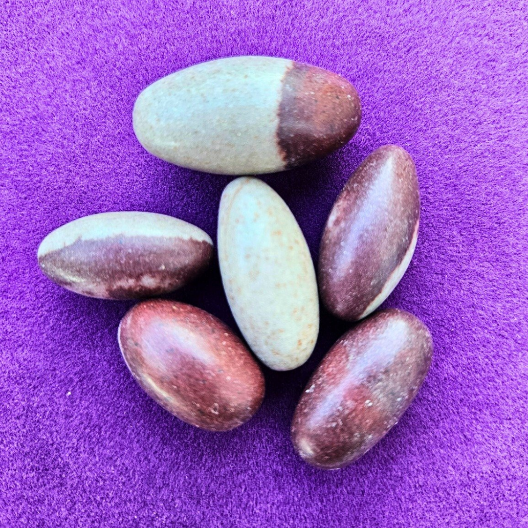 Pedra Sagrada Shiva Lingam – Harmonia, Equilíbrio e Energia Ancestral