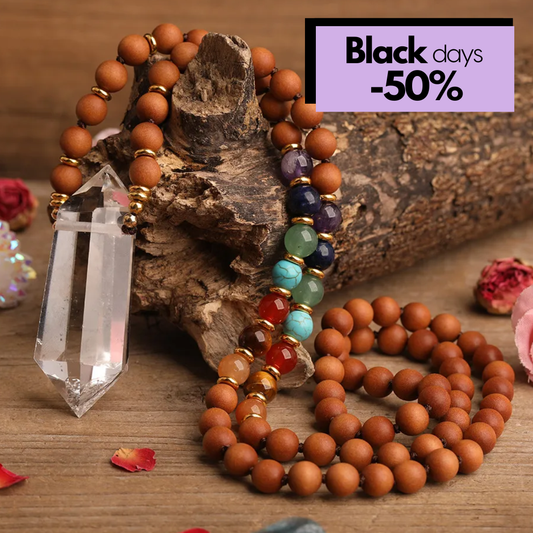 Sarva Shakti Mala - eleva, alinha e protege a tua energia