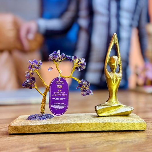 Árvore de Cristais em Jardim Yoga – Pose Sukhasana - Ametista