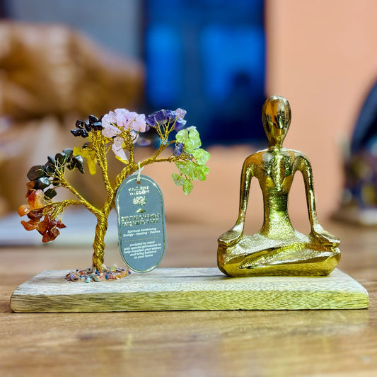 Árvore de Cristais em Jardim Yoga – Pose Mudra - 7 Chakras