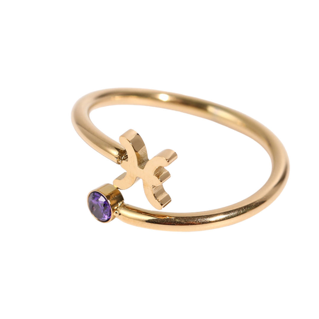 Anéis dos Signos Banhados a Ouro - Produto Best Seller🥇