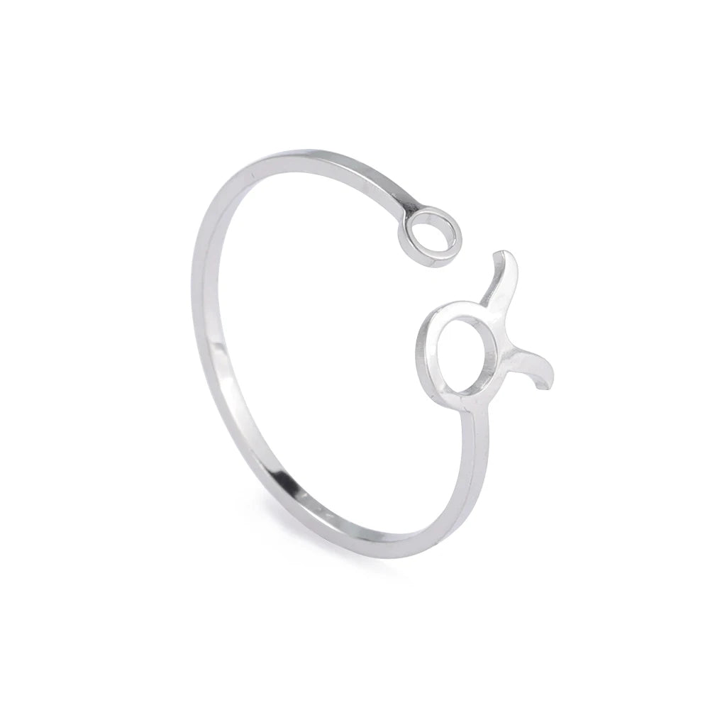 Anéis dos Signos de Aço Inoxidável Ajustáveis
